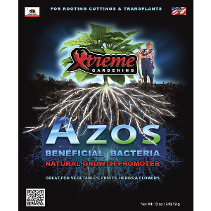 Xtreme Azos 6oz