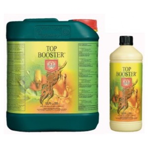 House & Garden Top Booster