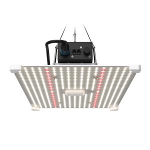 Lumii Blade 200W LED