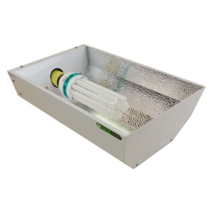 Maxibright Pro CFL Kit