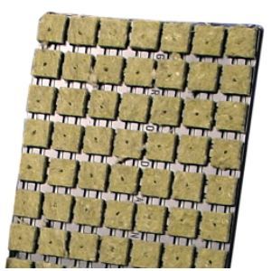 Grodan Large Cuttings Seed Cube Tray of 77