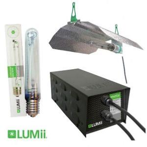 Lumii 600 Watt Light Kit